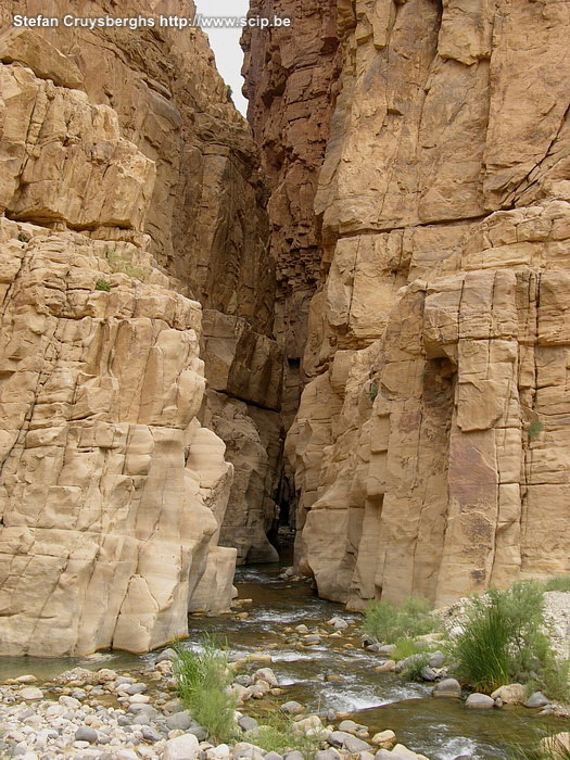 Wadi Mujib siq The entrance of the small narrow siq of Wadi Mujib. Stefan Cruysberghs